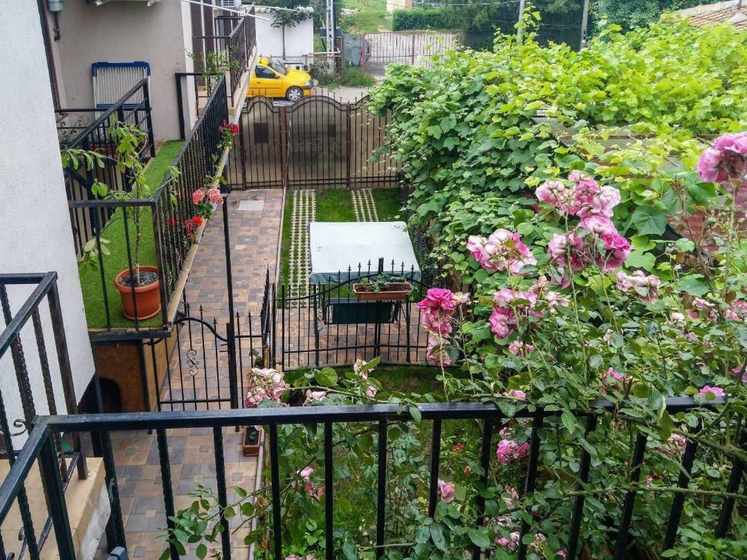 Apartamento Stefy & Marie Constanţa Exterior foto